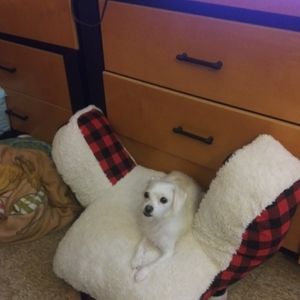 Meet your Posher, Odalys